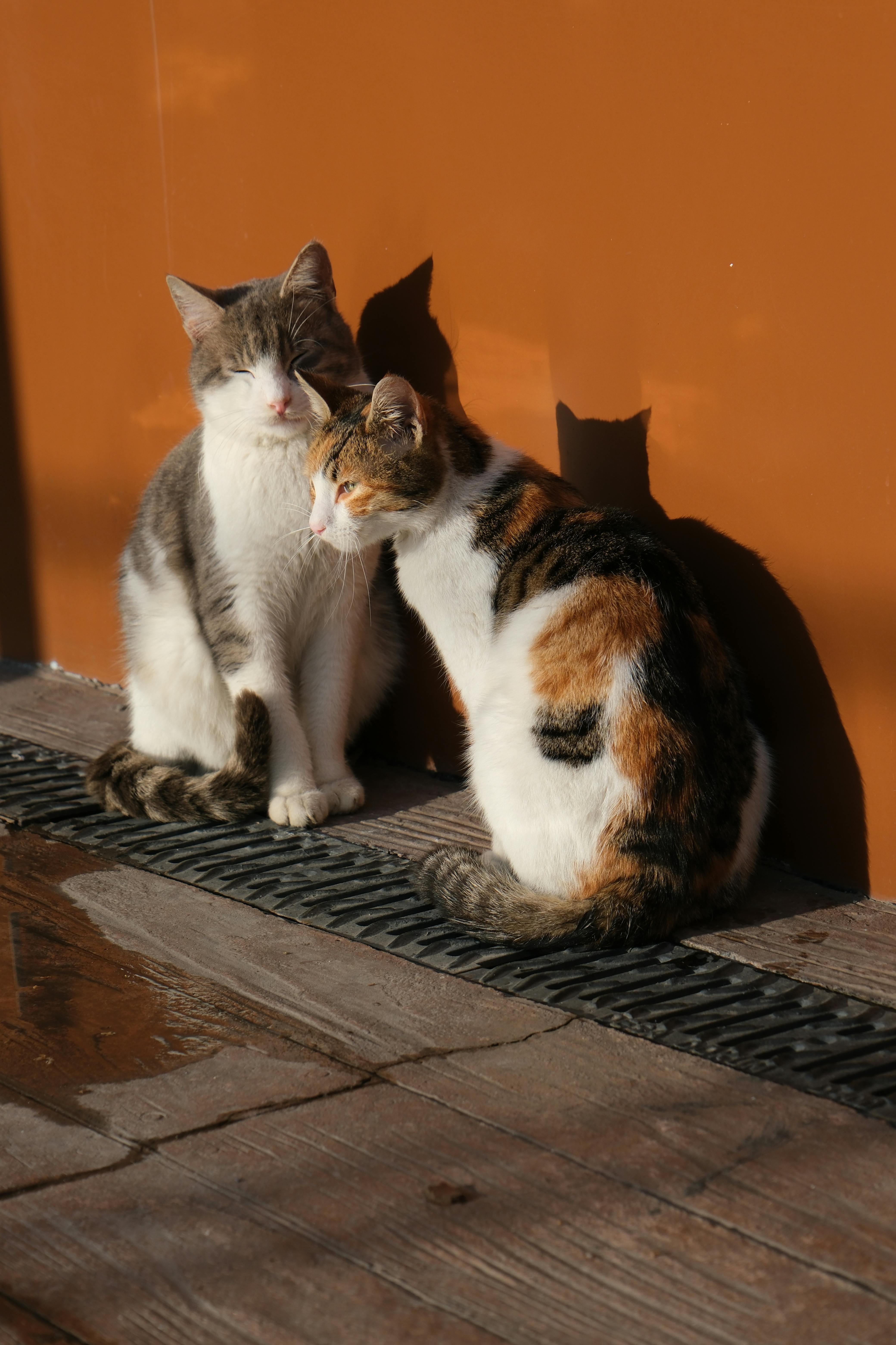 Bir Günü Kurtaran Mini Rutin: 15 Dakikada Toparlanma Planı